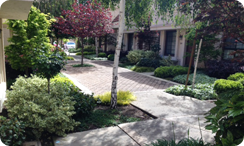 Apartment & HOA Landscaping