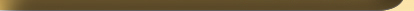 Bottom of Social Links